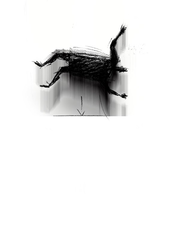 Rogerio de Andrade - Falling